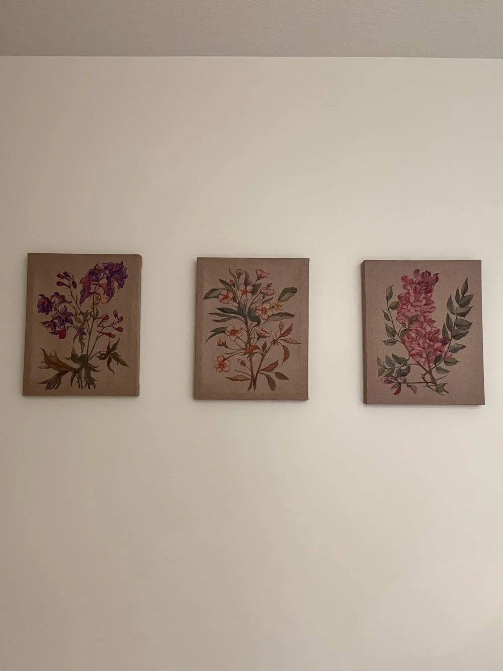Madison Park Floral Triptych in Pink, Green and Purple